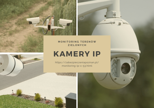 Monitoring Terenów Zielonych - Kamery IP